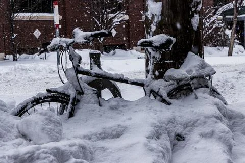Bikes stuck in the snow Stock Photos