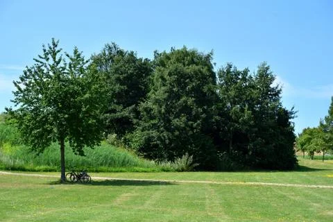 Bikes under a tree Stock Photos