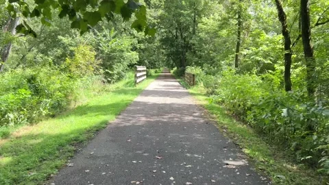BikeTrail POV Stock Footage 208140273