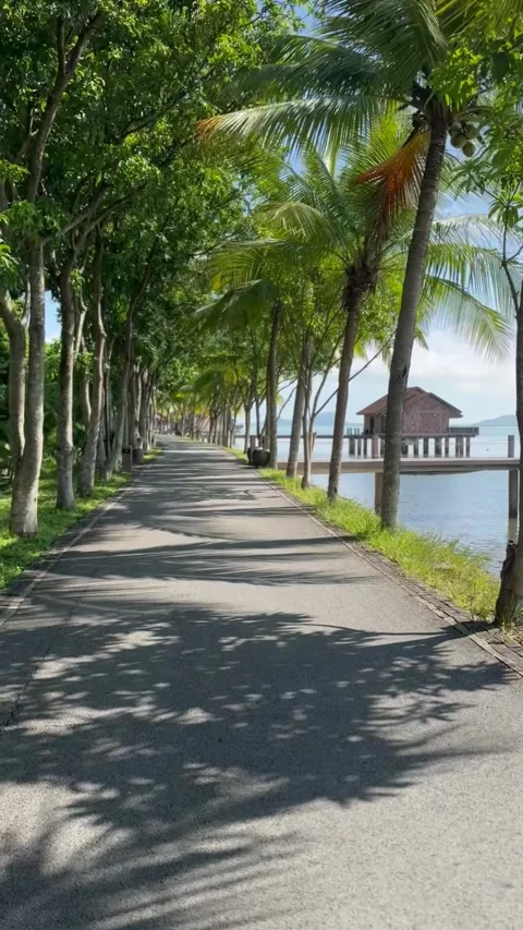 Biking along lagoon Video stock 317361786