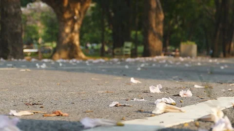 Biking in autumn at the park, low angle view and blur focus. Stock-Footage 68543186