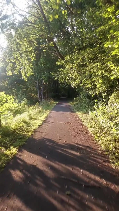 Biking On A Bike Path In A Forest Vídeos de archivo 340560442