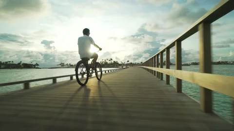 Biking on the bridge 库存影片 141848235