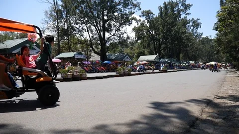 Biking Stock-Footage 87693978