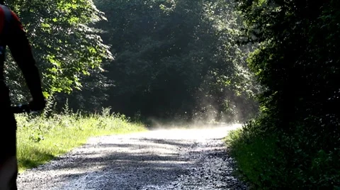 Biking in the forest Stock Footage 8633272