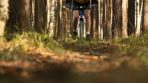 Biking in the forest Stock Footage 49760435