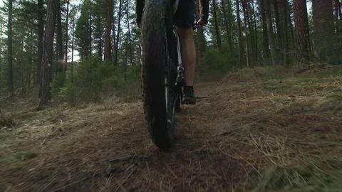 Biking on a forest path in slow motion Stock Footage 90821212