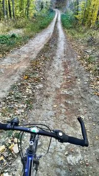 Biking in the forest. Foto stock