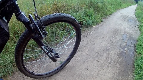 Biking on a forest road. Video stock 93304399