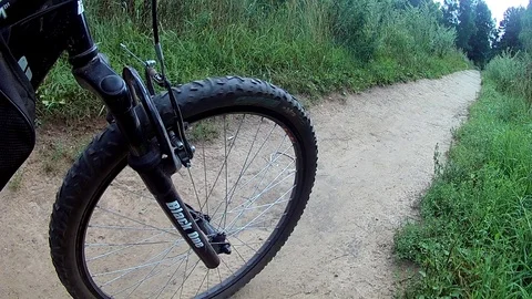 Biking on a forest road. Stock Footage 93304404