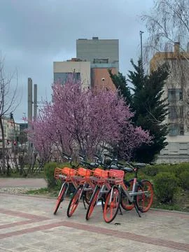 Biking in Madrid Stock Photos