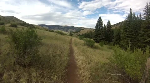 Biking on mountain trail single track during the summer Stock-Footage 45296011