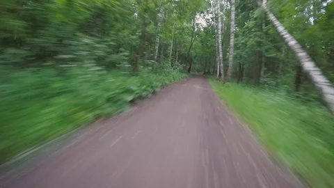 Biking POV in the park after a violent storm Stock Footage 79735566