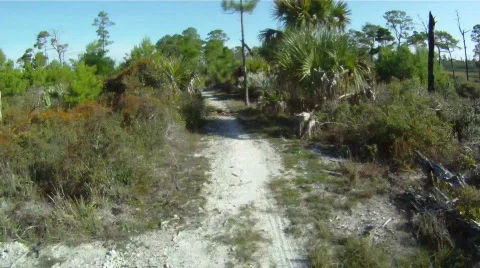 Biking speed Stock Footage 836822