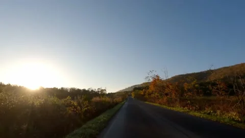 Biking into sun along empty road on autumn morning Stock Footage 230002542