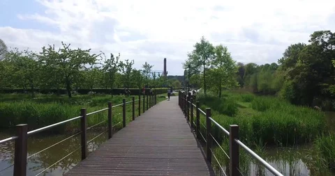 Biking through Amsterdam 스톡 동영상 114176085