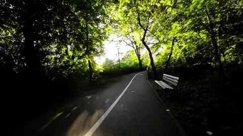 Biking Through a Beautiful Tree-Lined Park Stock Footage 279944761