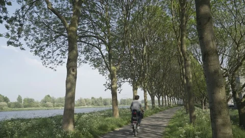 Biking Through Big Trees with Dutch River in the Background Video stock 91038465