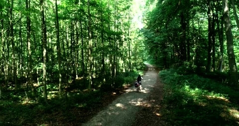Biking through the forest, sunlight and shadows - 4K/UHD stock video Stock Footage 140673568