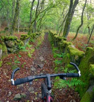 Biking through an Old stony Path that crosses Forests Stock Photos
