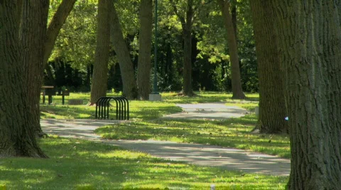 Biking through the park Stockbeeldmateriaal 501936