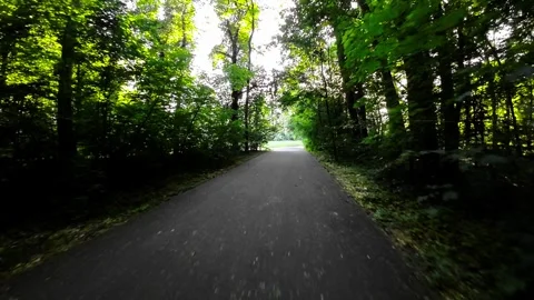 Biking Through a Picturesque Forest Stock Footage 278636823