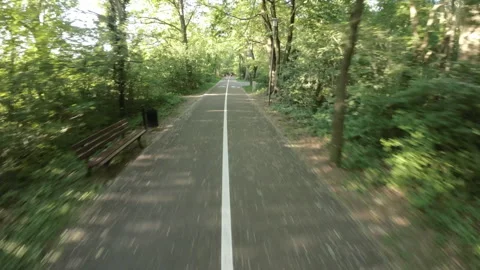 Biking Through a Scenic Tree-Lined Park Stock Footage 276617772