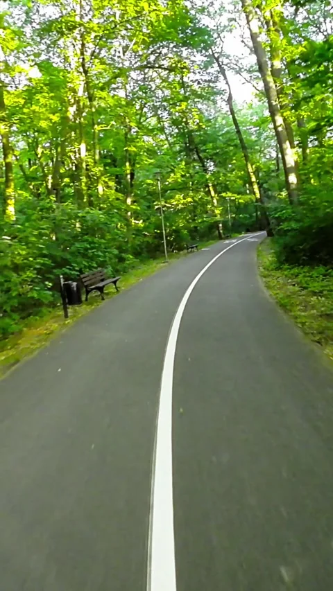Biking Through a Scenic Tree-Lined Park with a White Center Line Stock Footage 278193652