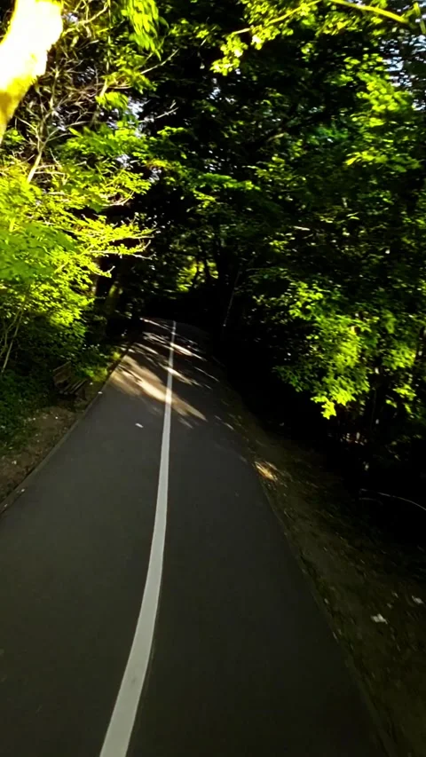 Biking Through a Scenic Tree-Lined Park with a Paved Path Stock Footage 281425156