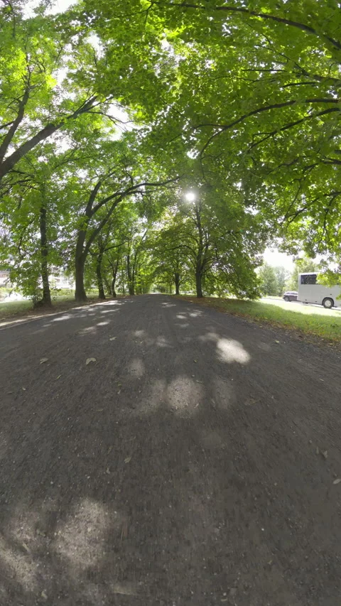 Biking Through a Tree-Lined Path on a Sunny Day Video stock 284236107