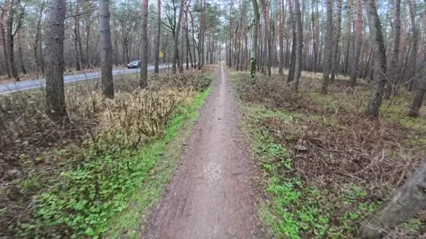 Biking in the woods in Winter Video stock 296764931