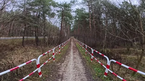 Biking in the woods in Winter Stock Footage 296764996
