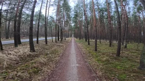 Biking in the woods in Winter Stock Footage 296765020