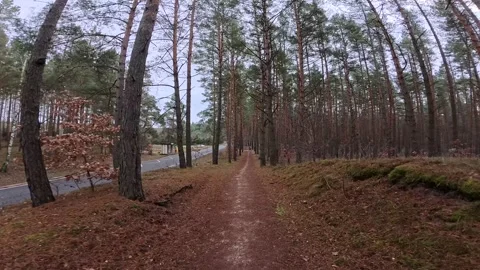 Biking in the woods in Winter Stock Footage 296765023