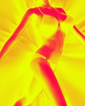 Bikini Body Stock Illustration