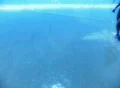 Bikini Girl 03 Walkig through shallow beach in slow motion Footage