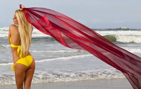 Bikini Model On Beach Stock Photos