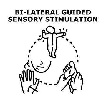 Bilateral guided sensory stimulation concept developing Stock Illustration