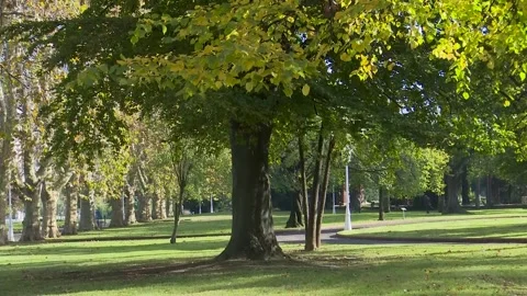 BILBAO, SPAIN  – 2024, OCT 10: Fall Colors in Casilda Iturrizar Park Bilbao Stock Footage 326303552
