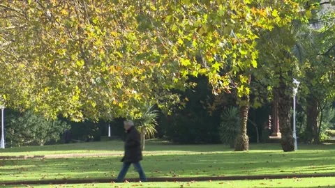 BILBAO, SPAIN  – 2024, OCT 10: Fall Colors in Casilda Iturrizar Park Bilbao Stock Footage 326303554