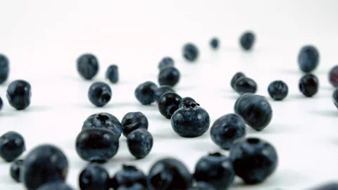 Bilberries Stock Footage 122923247