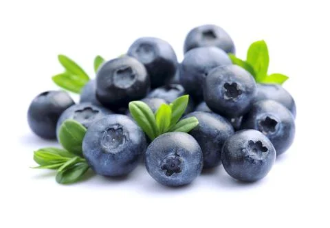 Bilberries with leaves Stock Photos