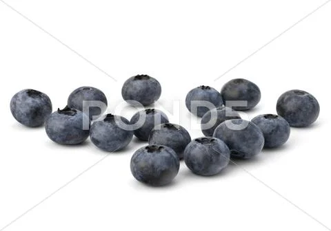 Bilberries or whortleberries cutout Stock Photos