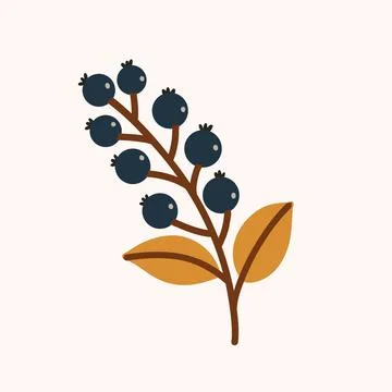 Bilberry Branch Flat Vector Illustration Stock Illustration