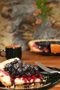Bilberry cake Stock Photos