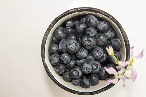 Bilberry in enameled mug Stock Photos