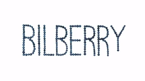 Bilberry font. Bilberries on white background. Blueberry fruit letters. 4K Stock Footage 80341067