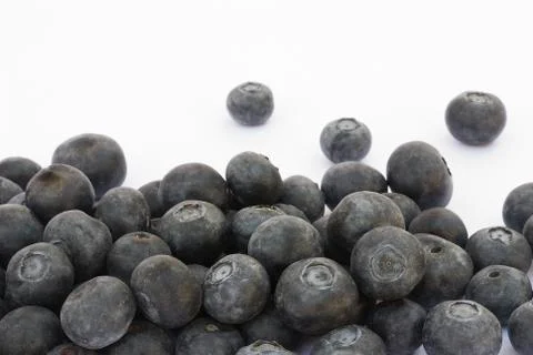 Bilberry fruit on a white background Stock Photos