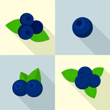 Bilberry icons set, flat style Stock Illustration