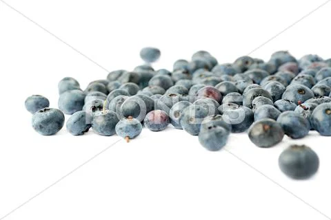 Bilberry or blueberry over isolated white background Stock Photos